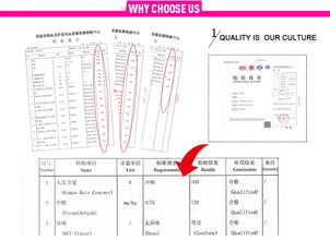 Human Hair 13X2 Wigs Short Pixie Cut Wigs Straight Bob HDTransparent Lace Frontal Wigs For Black Women 250Density Perruque Cheap Neomi’ Tress and Trend